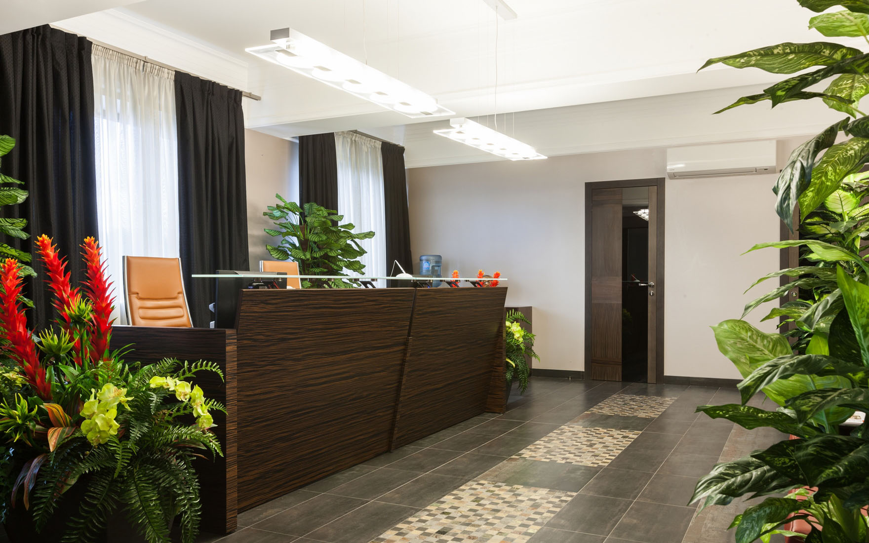Recepcja hotelowa rośliny